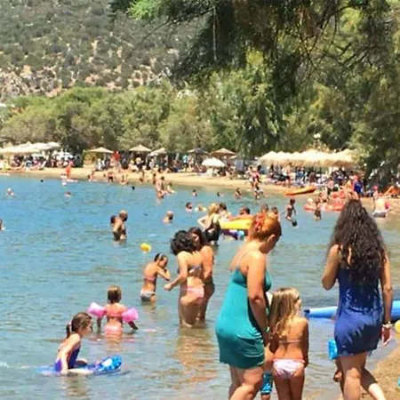 White Villa With Olive Trees 1Km To Beach Panagia Casa vacanze *