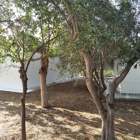 White Villa With Olive Trees 1Km To Beach Panagia Casa vacanze