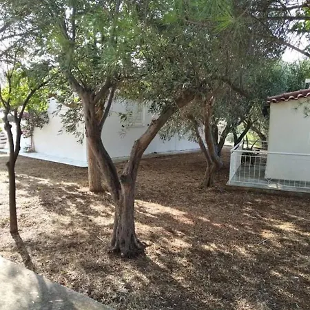 White Villa With Olive Trees 1Km To Beach Panagia Almiropótamos