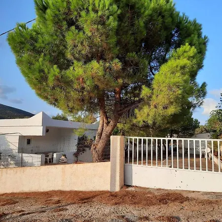 White Villa With Olive Trees 1Km To Beach Panagia *