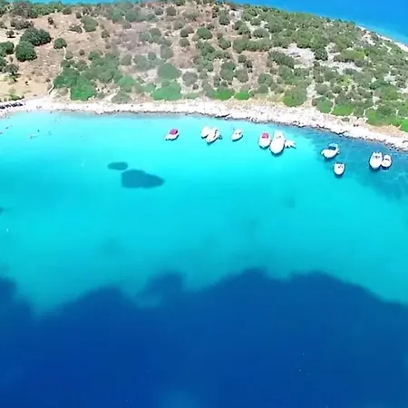 White Villa With Olive Trees 1Km To Beach Panagia *